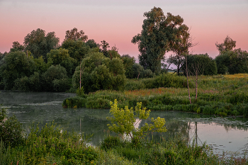 Летнее утро. / Озеро Омут.