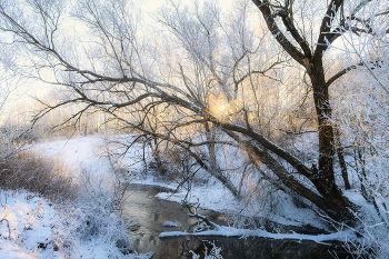 Мороз и солнце / Сюжеты зимы