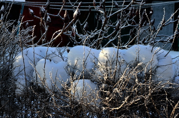 &nbsp; / Во дворе...