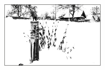 Ледяная тишина / ***