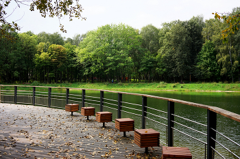 Сухой пруд / Кусковский лесопарк в Москве. Сухой пруд. Смотровая площадка. Август 2024.