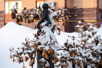 Зимний город... / ***