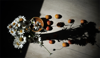 Ромашки / ... на границе света и тени