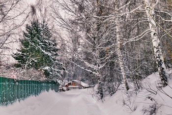 Морозным днём. / Томская область.