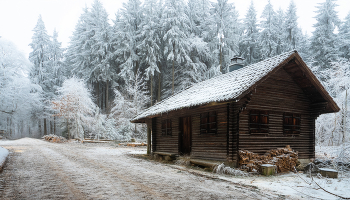 &nbsp; / Избушка лесного хозяйства. По-видимому используется в качестве бытовки