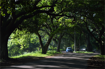 &nbsp; / Парк Альмендарес. Гавана