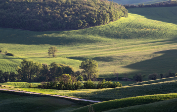 В ожидании тепла / ***