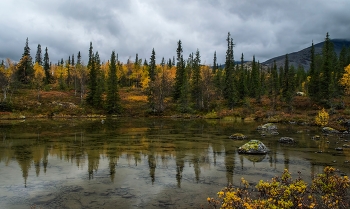Предзимье........... / Заполярье. Хибины. Куэльпорр. Полигональные озера. Сентябрь