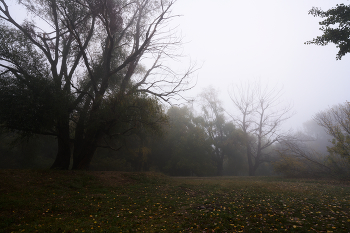 приехали / ***