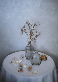 С ракушками... / ***