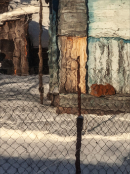 Пейзажизнь / ***