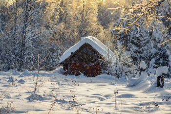 Где-то у леса на опушке. / Январские прогулки.