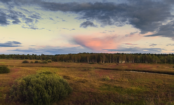 У берёзовой рощи / Осенний закат