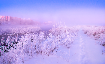 Морозное утро / ***