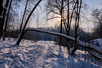 Зимний день 14 / ***