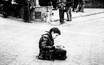 Лужайка мудрости / ***