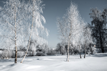 Тут моя деревня... / зима мороз