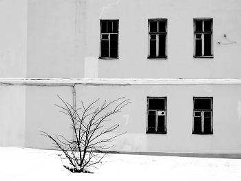 Вакансия &amp; кандидатура . / Пейзаж в 100 м от дома . Мобилография в зимний день .