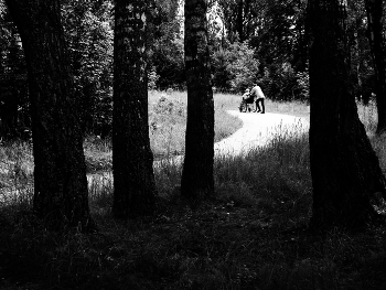 Старики. / Парковый пейзаж .