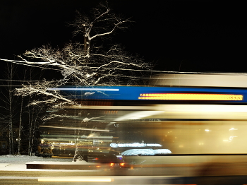 Старый дуб . / Сцена на вечерней улице .