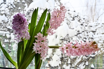 Контрасты / ***