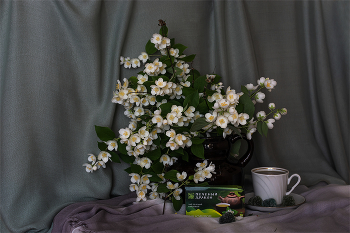 Аромат жасмина... / Час с жасминовым ароматом.