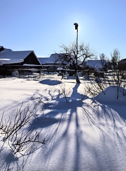 В ожидании птичек... / ***