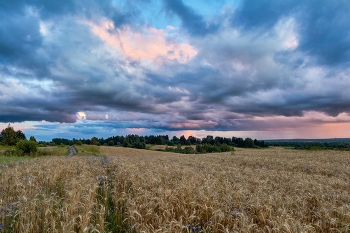 Родные просторы / ***