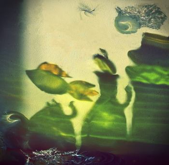 Сюжет / Серия Exposition