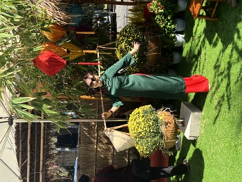 Вьетнам перед Новым годом / ***