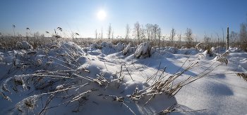 &nbsp; / Добро пожаловать на болото