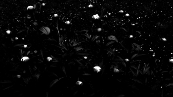 лан-дыши / ***