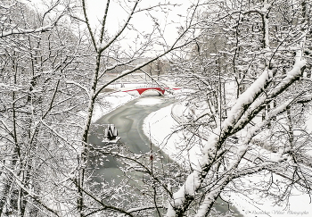 Лебяжий пруд в зимнем парке / ***