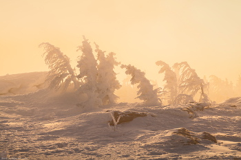 "Снежные фигуры Таганая" / Когда плотные облака рассеиваются, туман начинает светиться в лучах утреннего солнца. Дальний Таганай, локация «Метеостанция»