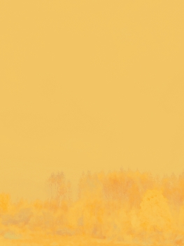 туман снаружи и внутри / ***