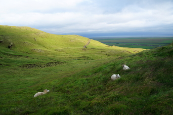 Далекие луга / ***