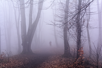 Одиночество / ***