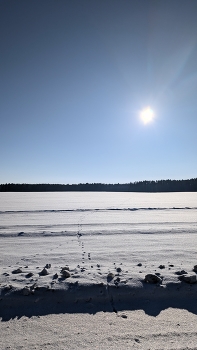 солнцеснег / ***