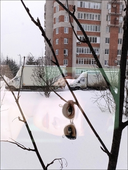 &nbsp; / [url=https://vk.com/audio-40517087_164839401_d14eaa374e595d7909]буква[/url]