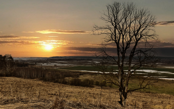 Пойма реки Жиздра. / ***