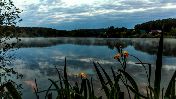 Светает... / ***