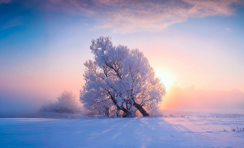 Морозный рассвет / Зимний рассвет возле реки Свислочь
