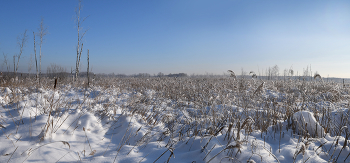 &nbsp; / Добро пожаловать на болото - 2