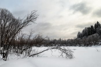 У озера / У озера