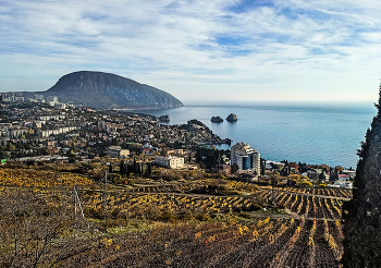 Южный Берег зимой / Крым