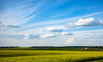 Родные просторы / Родные просторы