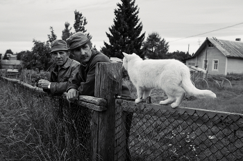 А мона спросить? / ***