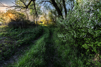 На неведомых дорожках / ***