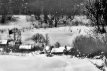 Жизнь вокруг / ***