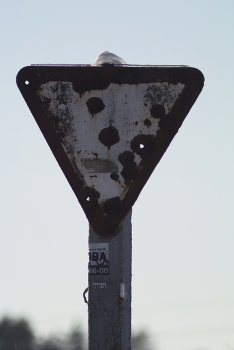 И стреляли в меня... / Охотники охотились получается